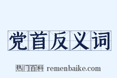 党首反义词是什么意思的图片